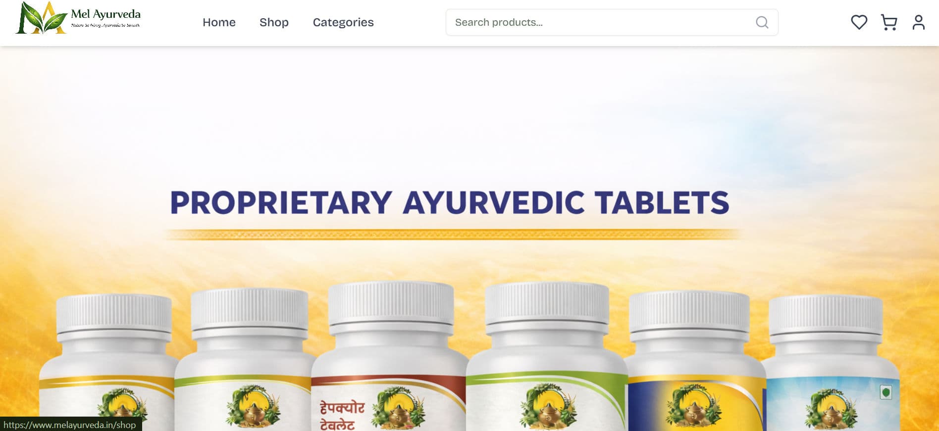 Mel Ayurveda website